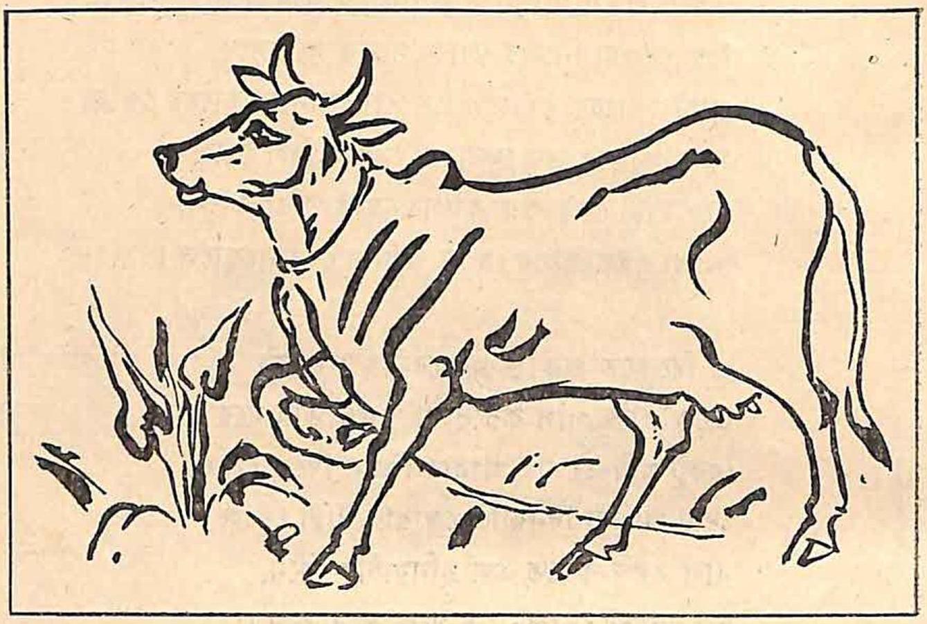 ছড়ার ছবি - রবীন্দ্রনাথ ঠাকুর (page 70 crop).jpg
