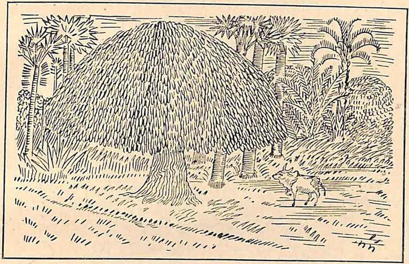 ছড়ার ছবি - রবীন্দ্রনাথ ঠাকুর (page 86 crop).jpg